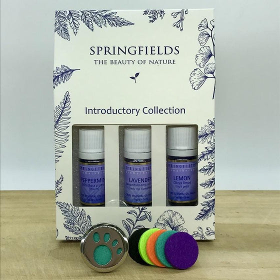 Aroma Car Diffuser Springfields Combo - Paw Print