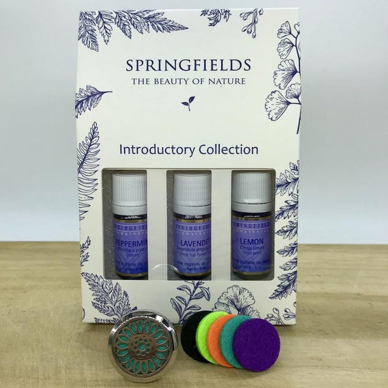 Aroma Car Diffuser Springfields Combo - Sunflower