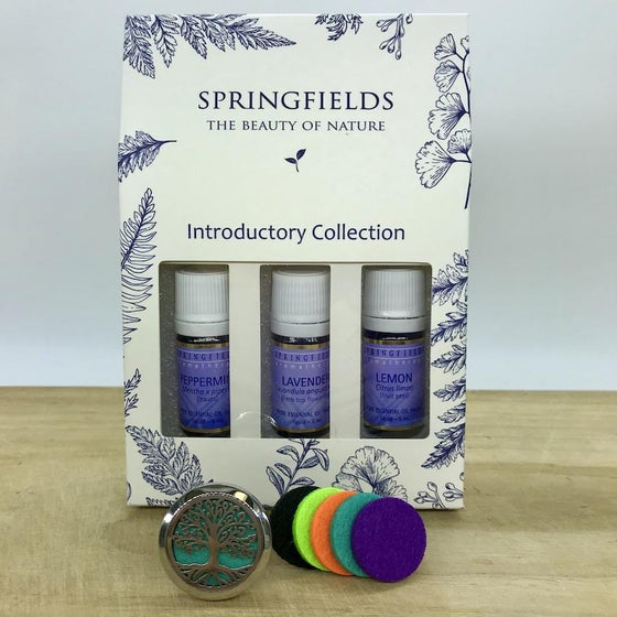 Aroma Car Diffuser Springfields Combo - Tree of Life