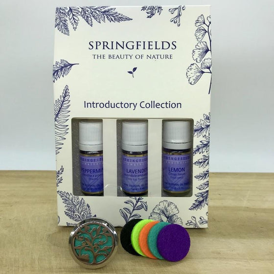 Aroma Car Diffuser Springfields Combo - Wild Tree