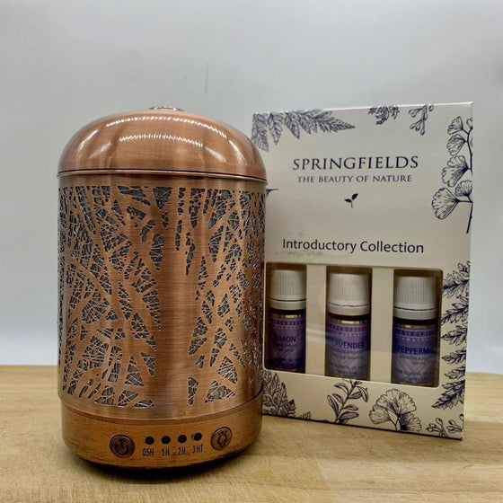 Bundle - Lantern Forest | Springfields Introductory Collection