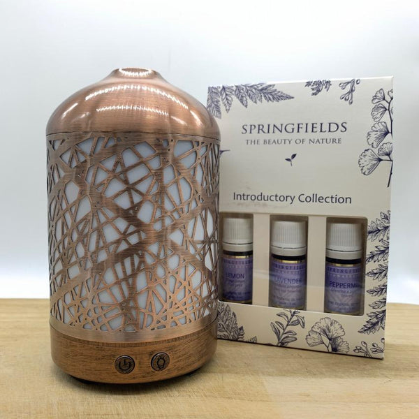 Bundle - Lantern | Springfields Introductory Collection