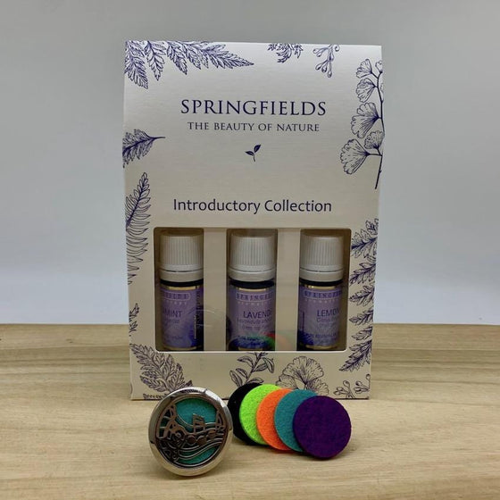 Aroma Car Diffuser Springfields Combo - Music